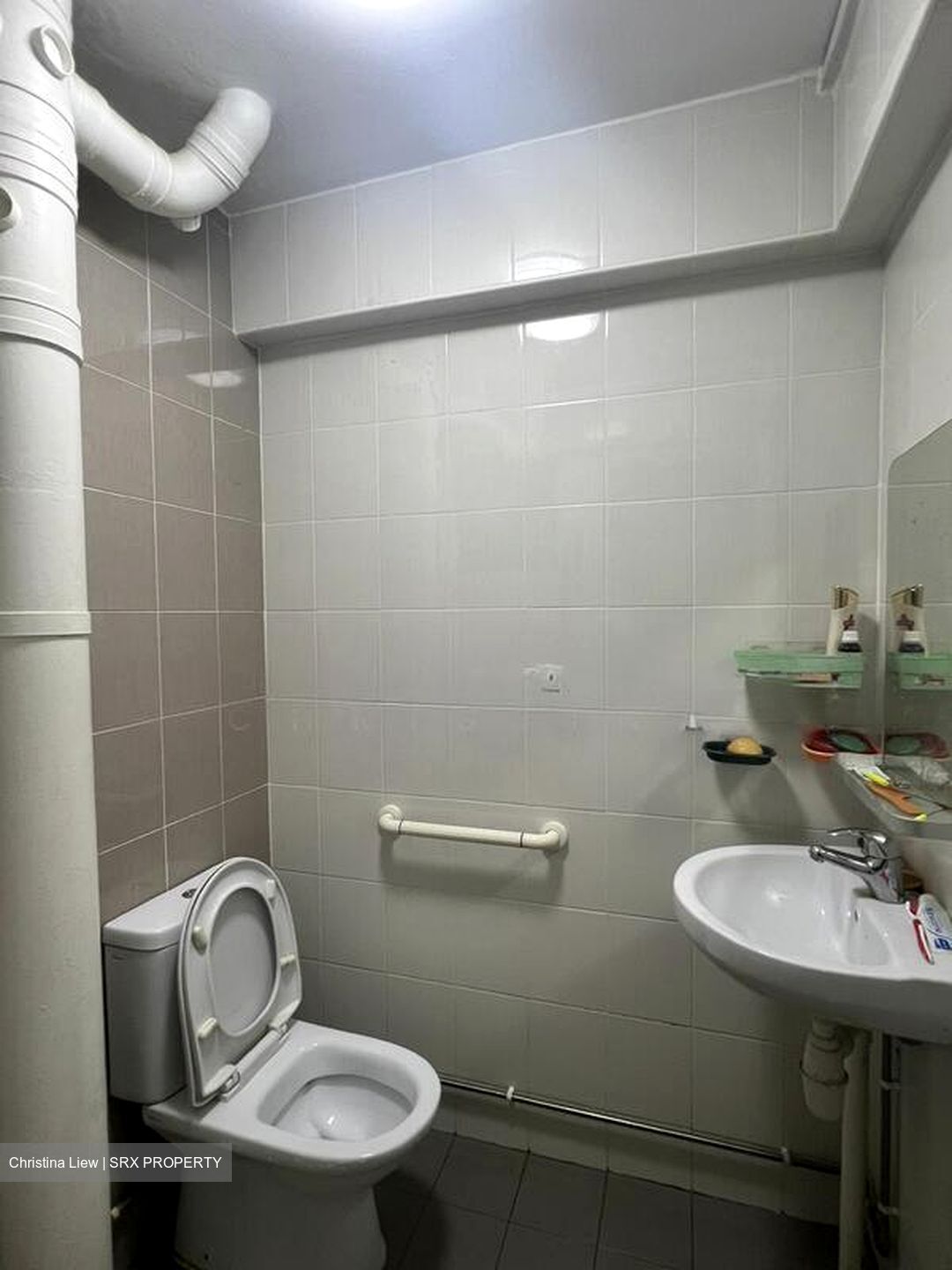 Blk 123 Mcnair Spring (Kallang/Whampoa), HDB 3 Rooms #505023281